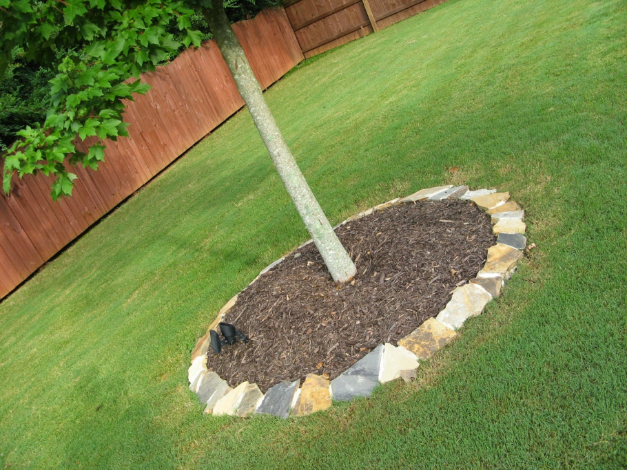 Приствольный круг вокруг яблони