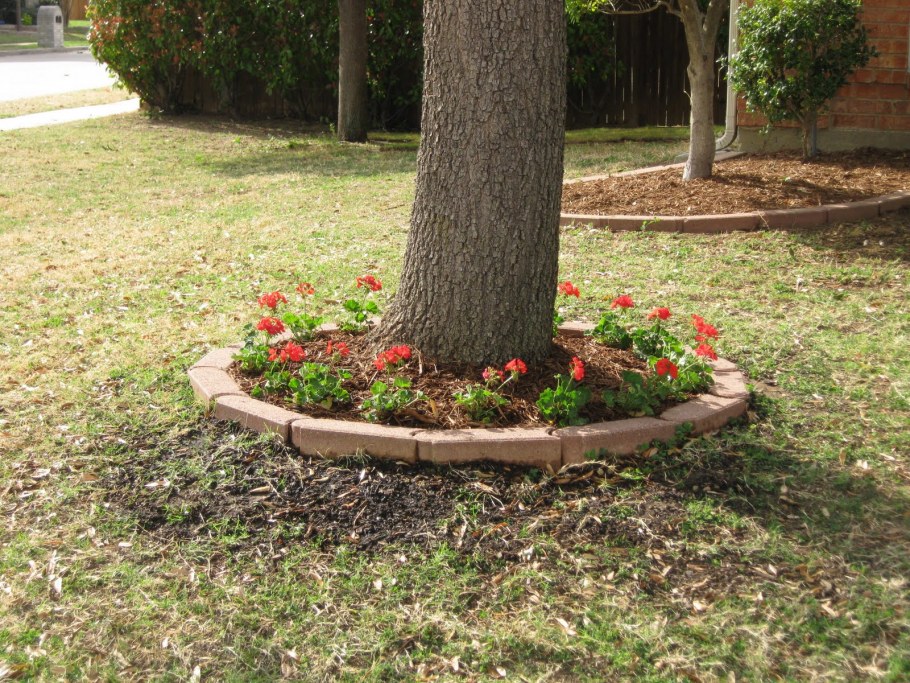 Клумба в приствольном круге