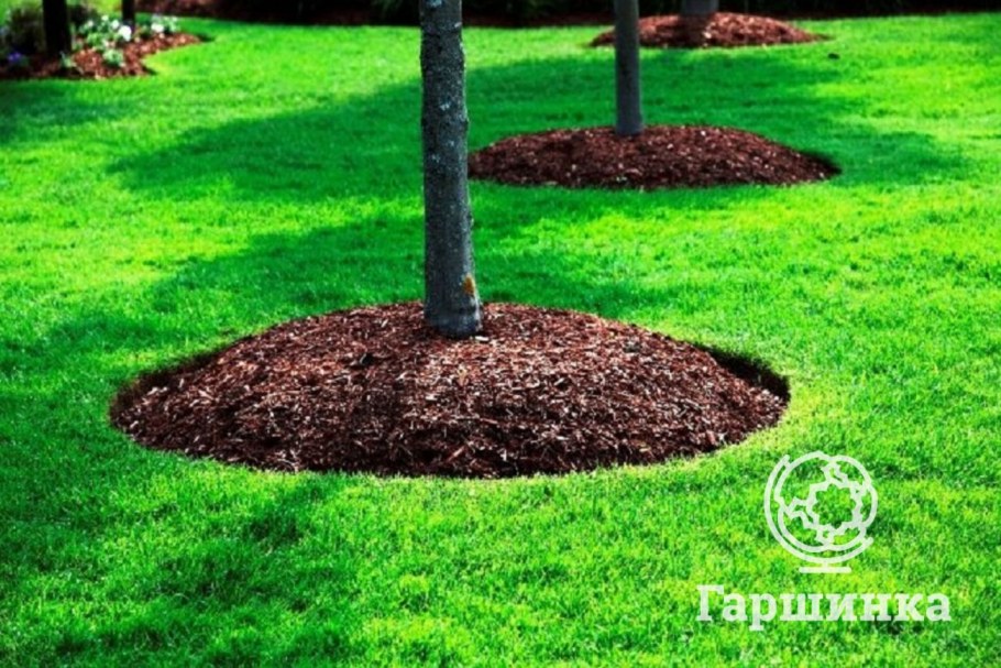 Декоративная щепа приствольный круг