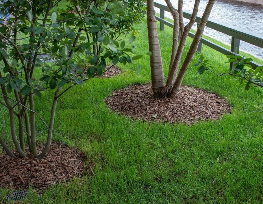 Цветочная клумба дерево