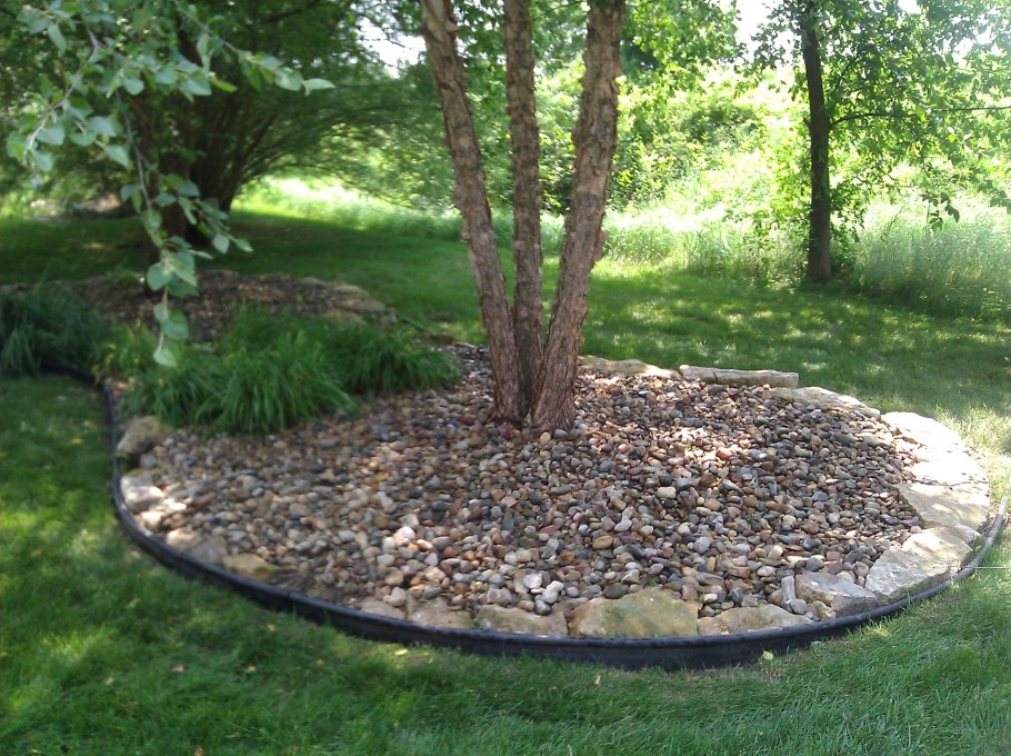 Приствольный круг вокруг яблони