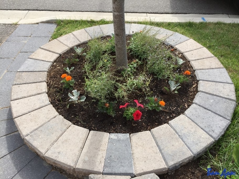 Декоративная щепа приствольный круг