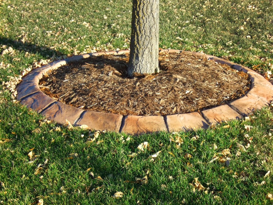 Приствольный круг вокруг кустарников