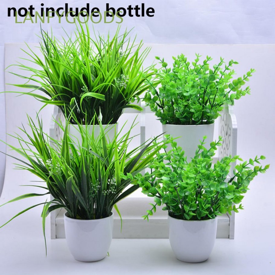 Зелень в горшках для декора