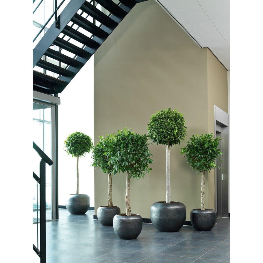 Декоративные цветы в горшках для интерьера