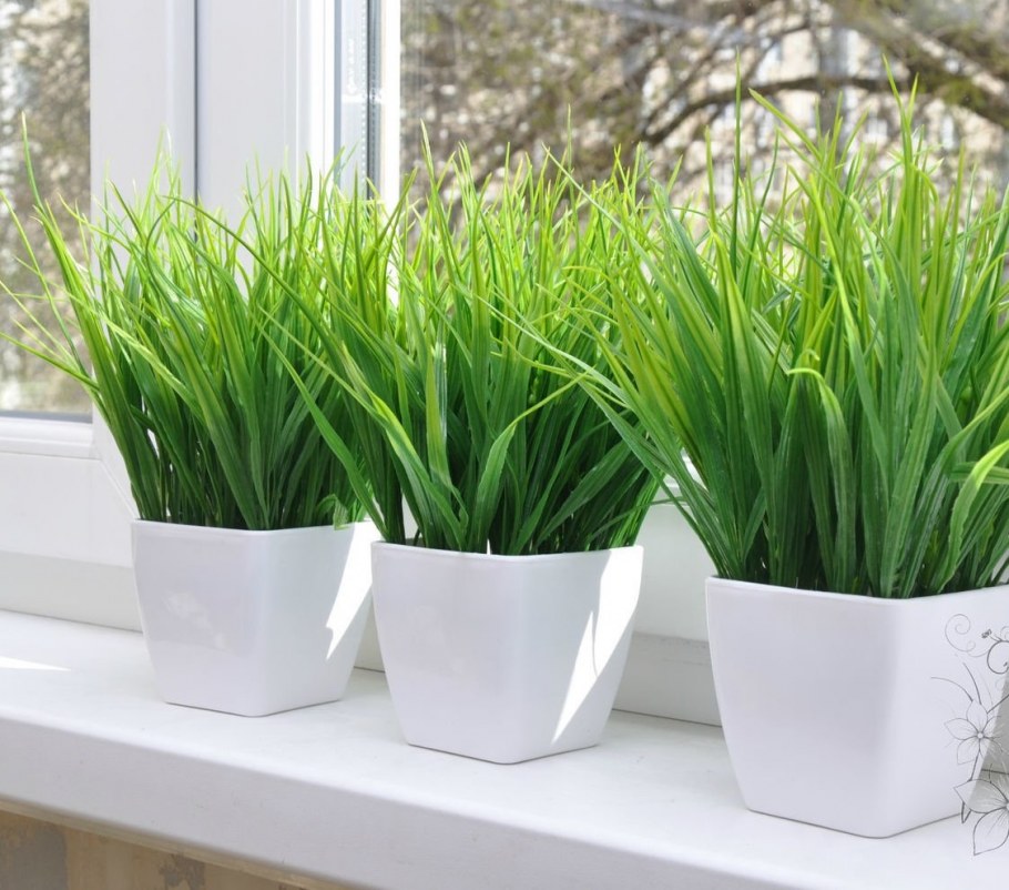 Кашпо икеа Осока