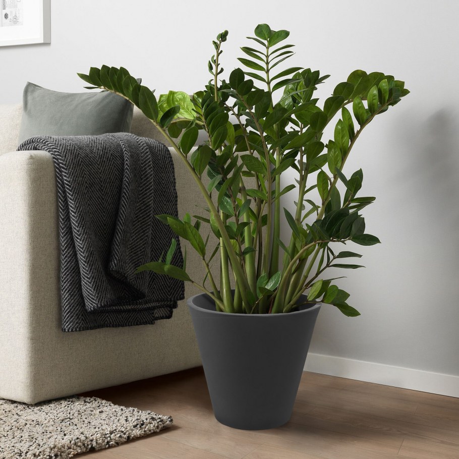 Искусственная трава в горшке