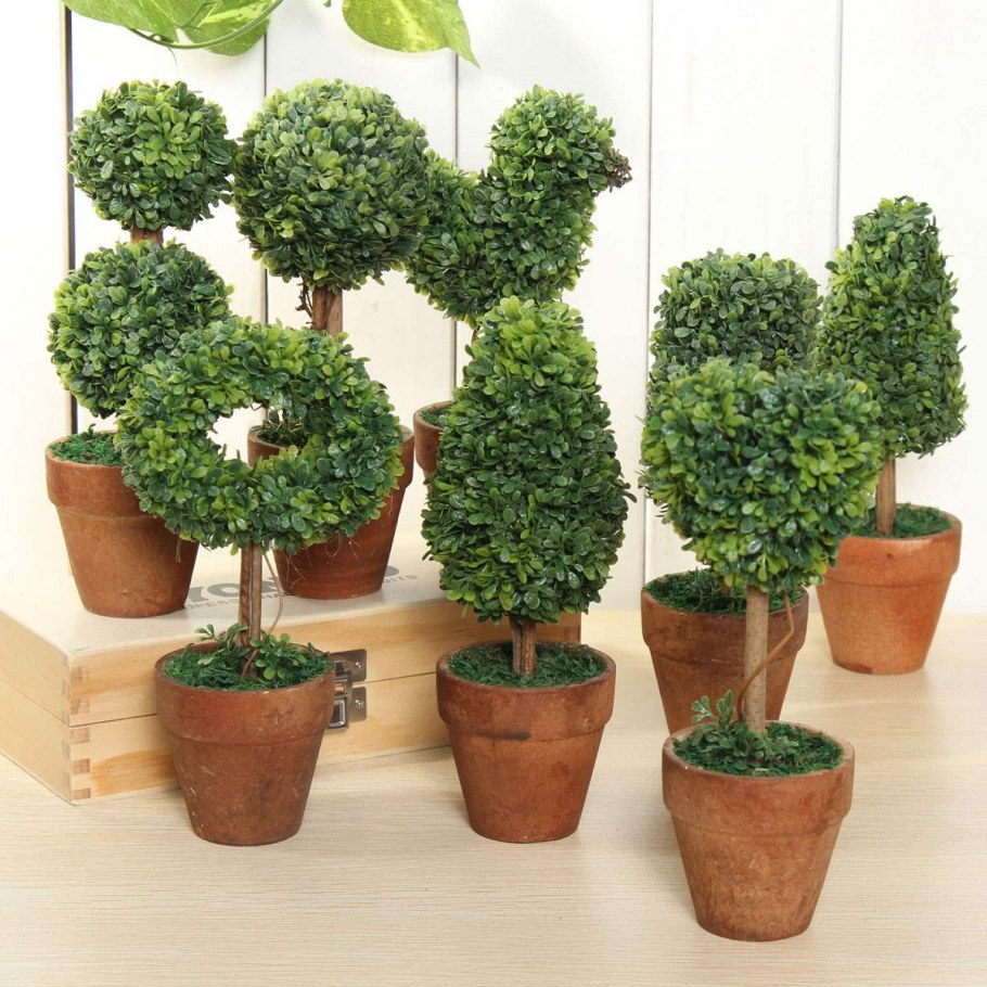 Декоративные цветы