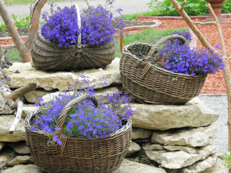 Спиральная клумба из камней