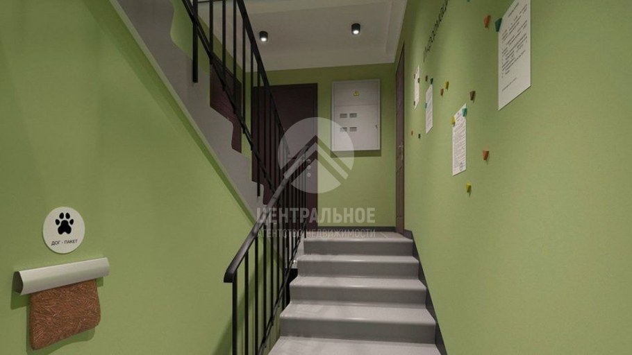 Краска для стен в подъезде