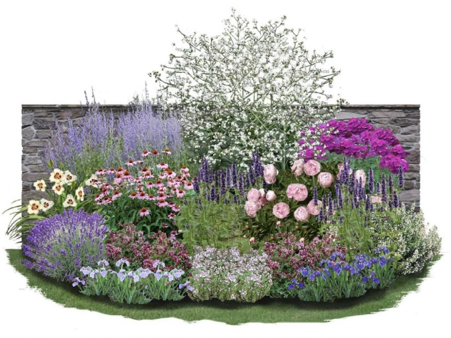 Схемы клумб из многолетников с хвойниками