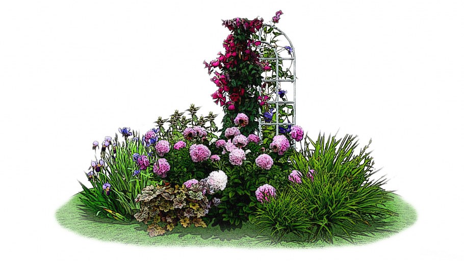 Сады Англии миксбордеры