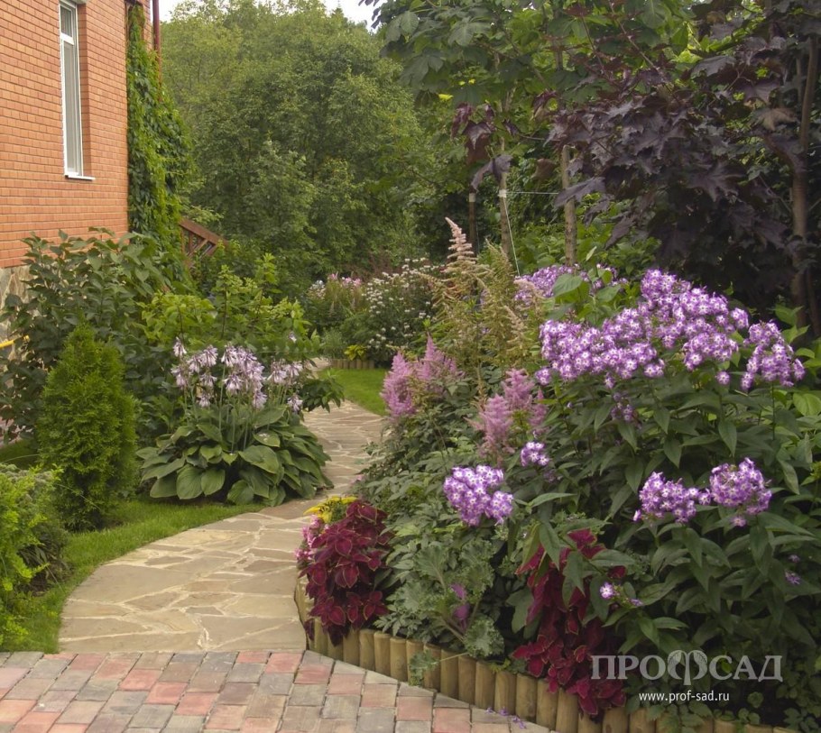 Миксбордер с клематисом