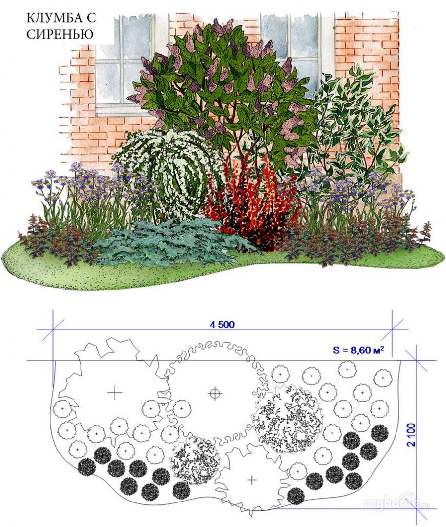 Клумбы миксбордеры схема