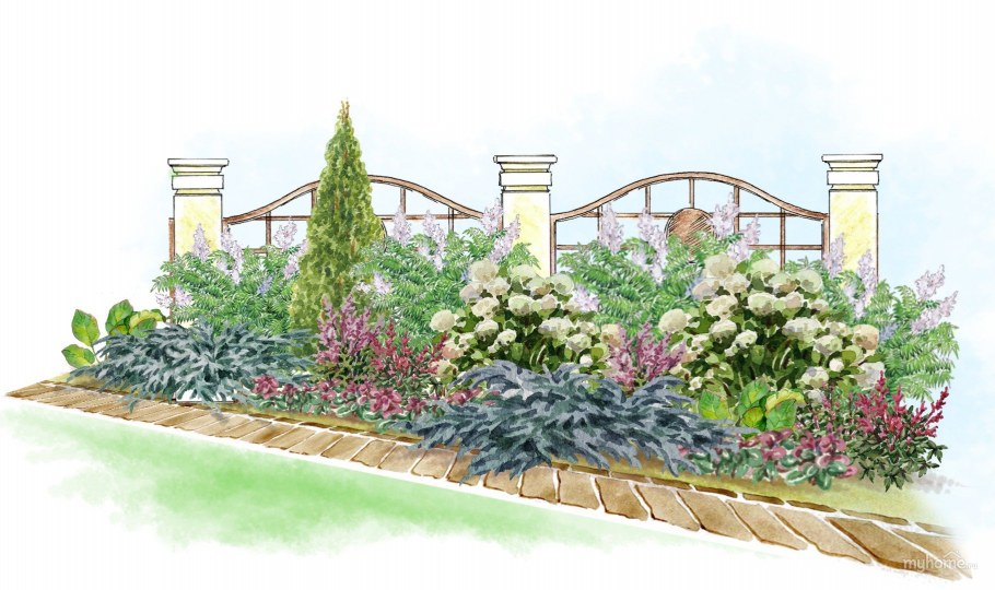 Спирея Вангутта в миксбордере