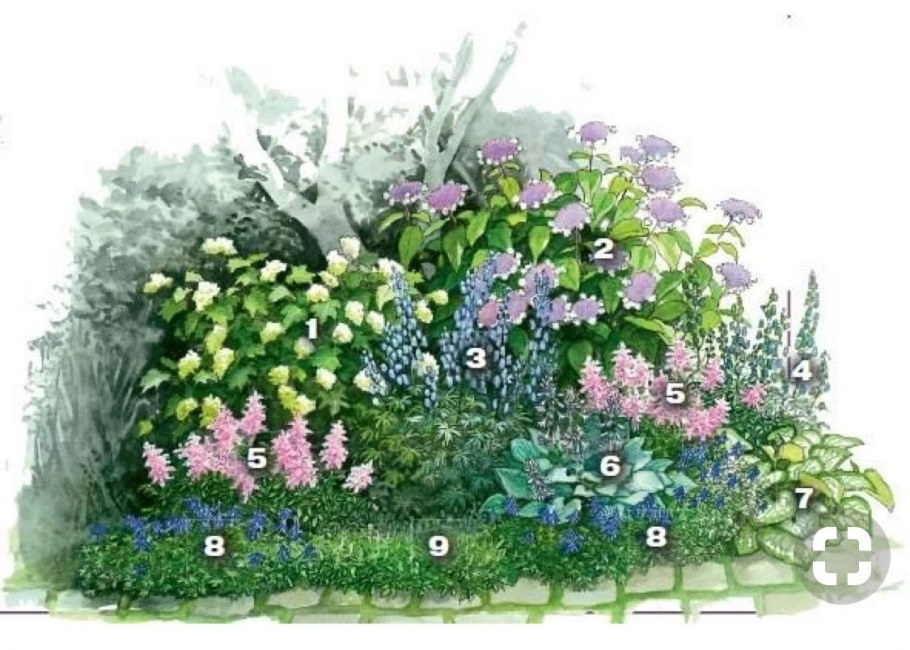 Ландыши в миксбордере