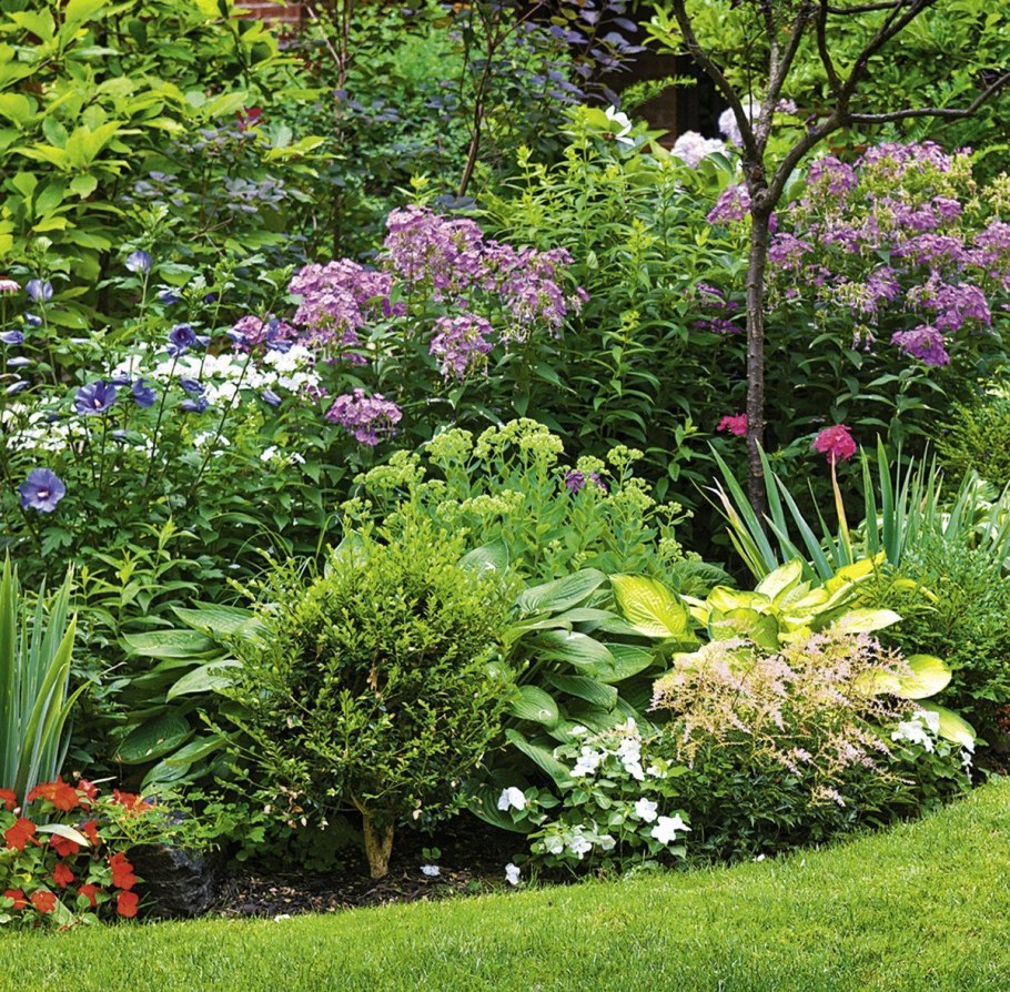 Тенистый миксбордер