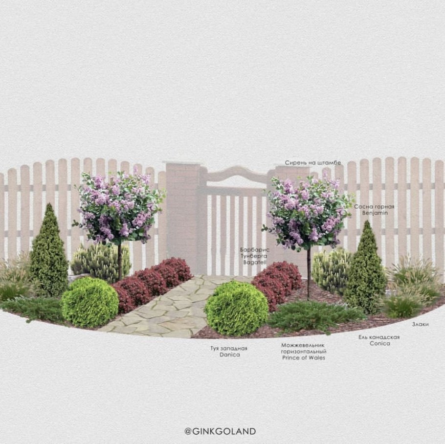 Миксбордер сирень роза