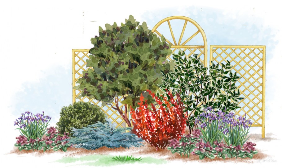 Сирень спирея бадан