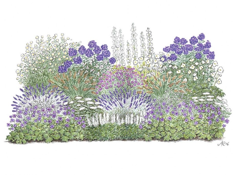 Миксбордер вейгела, Жасмин