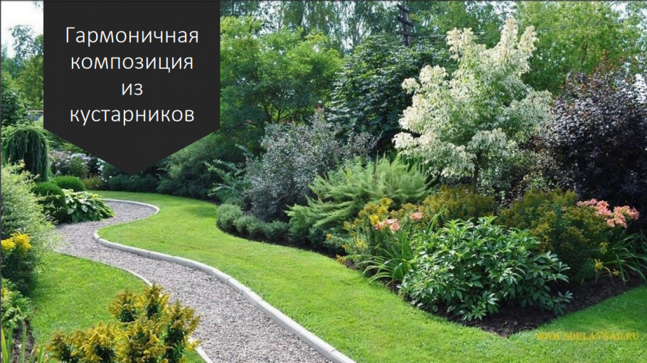 Миксбордер с сиренью и чубушником