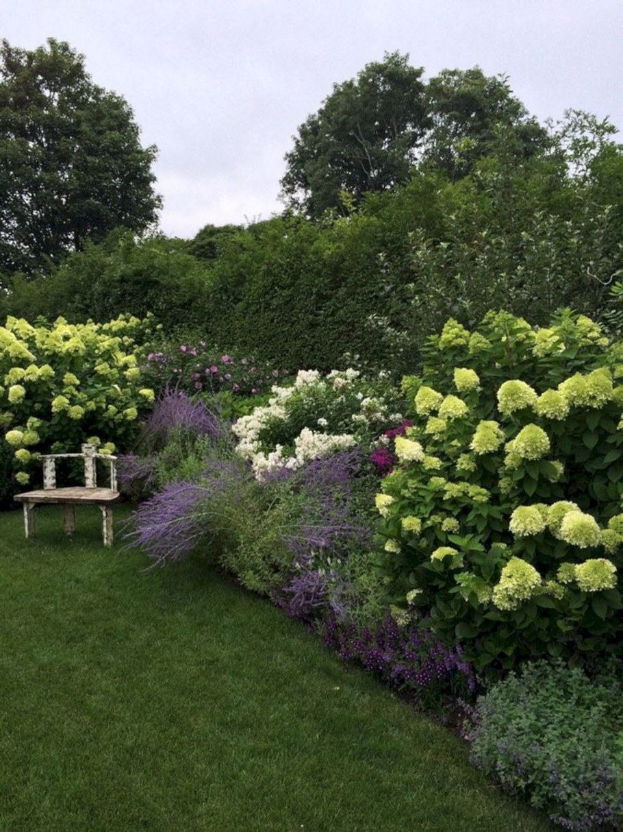 Миксбордер с космеей