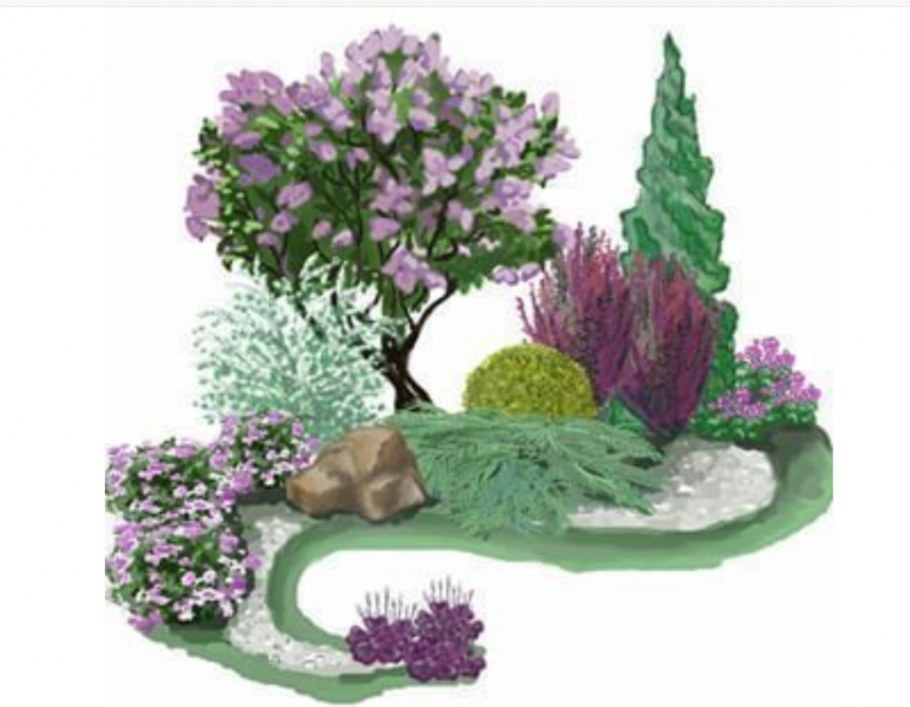 Миксбордер непрерывного цветения многолетников схема