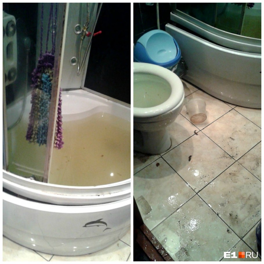 Затопило дом