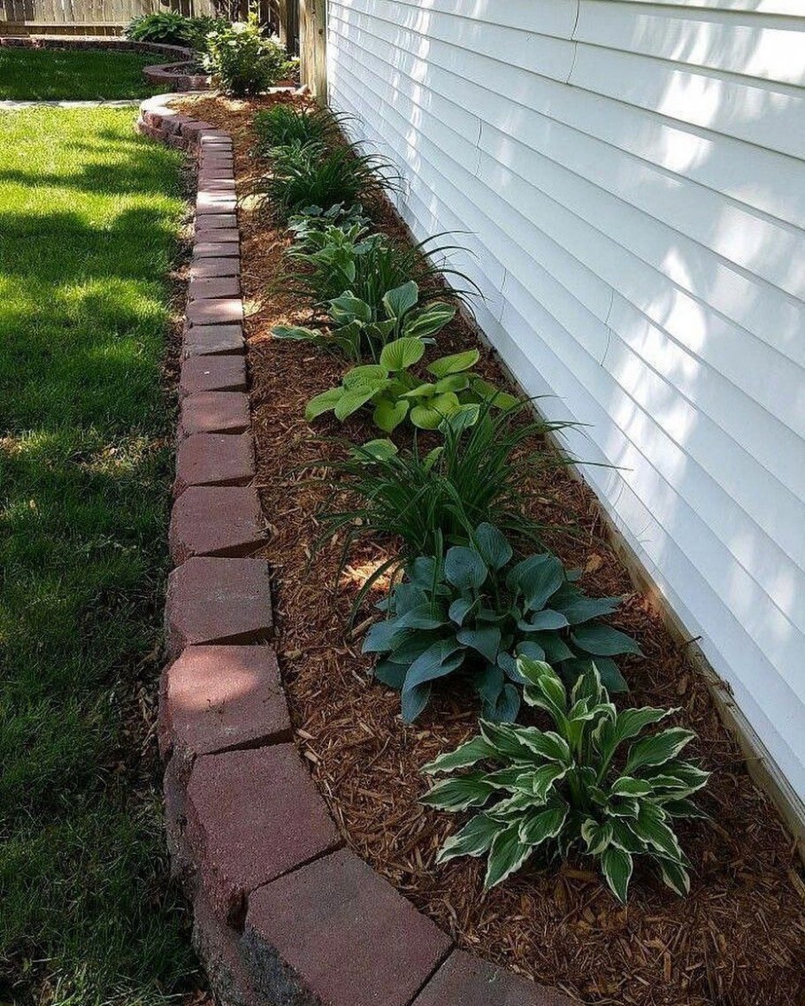 Клумба вдоль забора