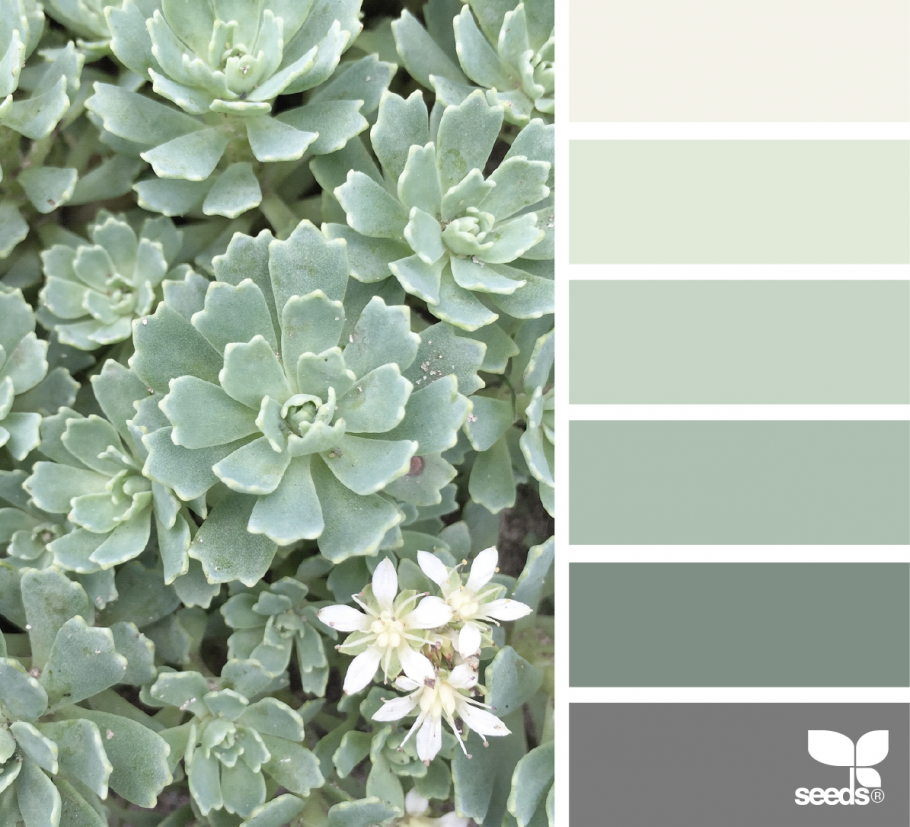 Оттенки Полынь цвет Полынь