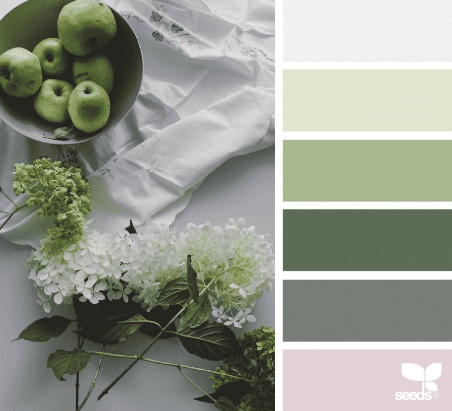 Палитры Сидс с серым