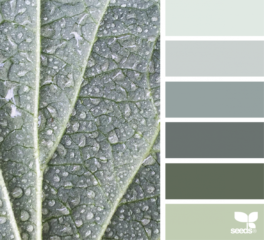 Серо изумрудный цвет