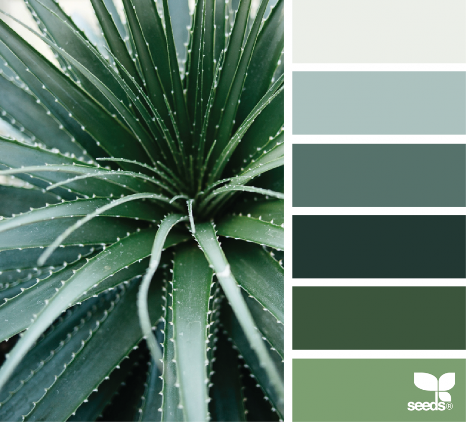 Зеленый интерьер спальни