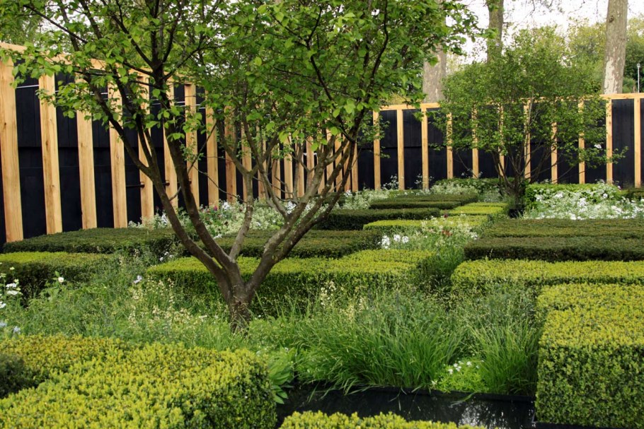 Сад Марины Крячко