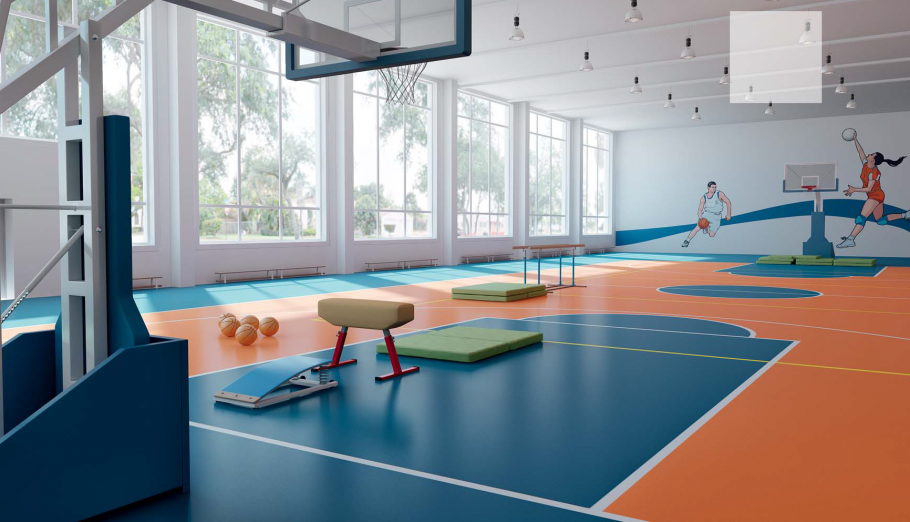 Современные спортивные залы в школах