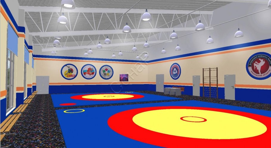 Стены в спортзале