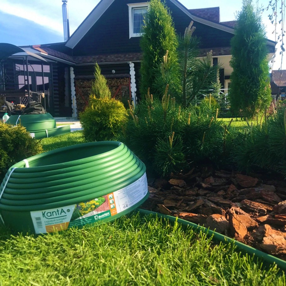 Лента бордюрная манго 55