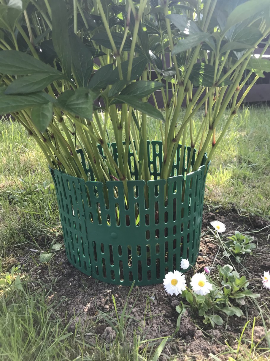 Бордюр газонный разделитель 45мм