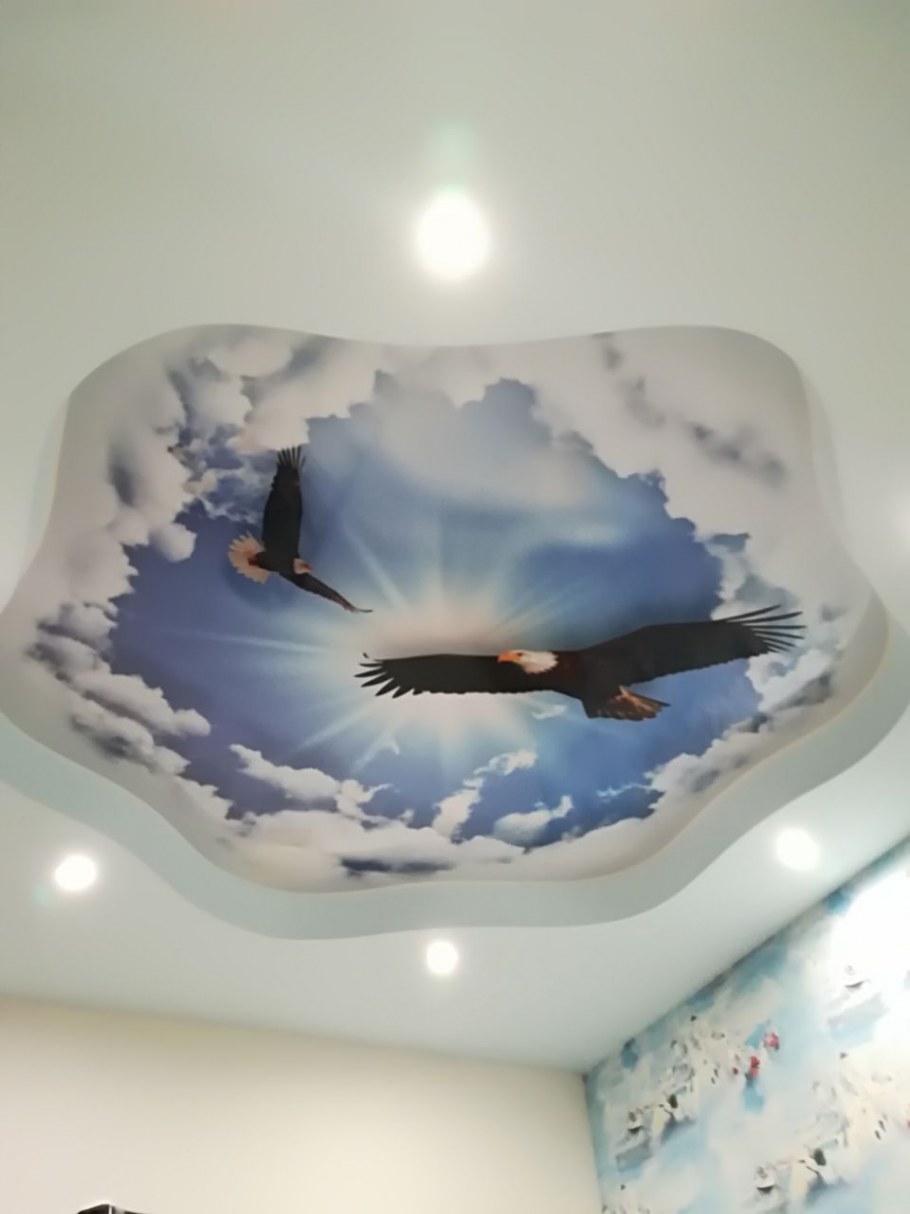 Натяжные потолки 3д фотопечать