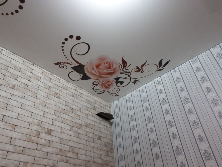 Натяжные потолки с узорами