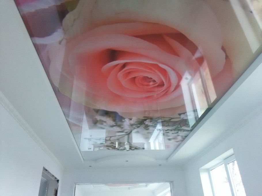 Листья на потолке