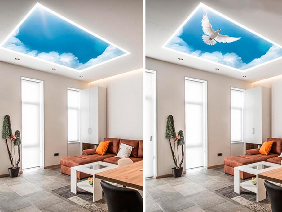 Натяжные потолки с фотопечатью