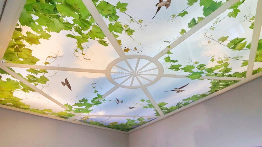 Натяжной потолок с рисунком звездного неба