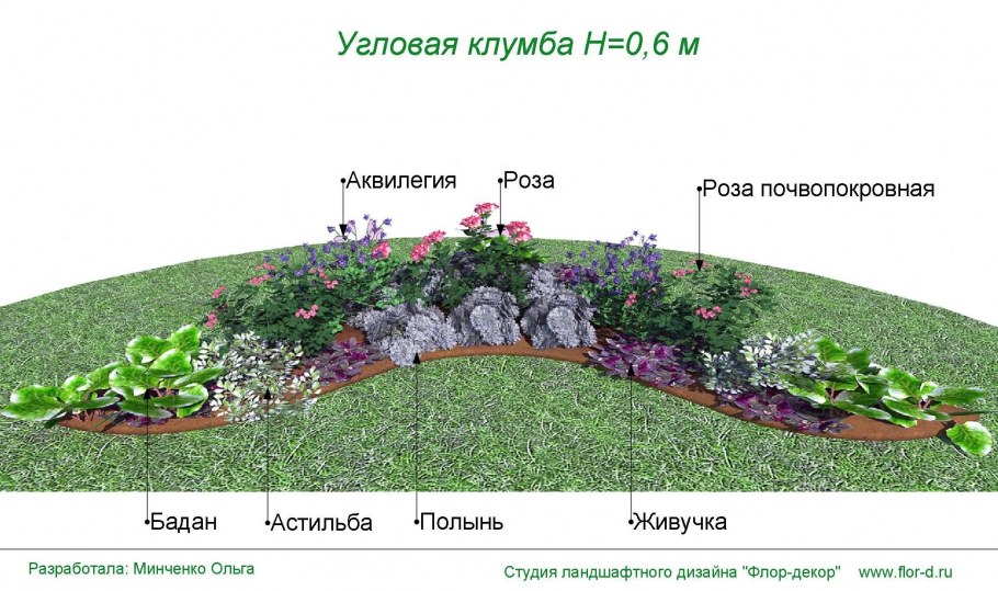 Миксбордеры схемы посадок