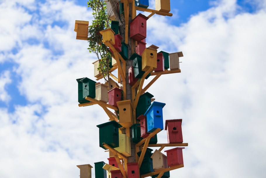 Много скворечников на дереве