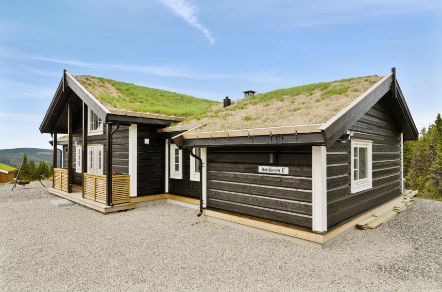 Финский домик Иван Каргос