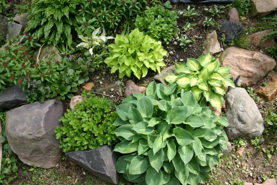 Лорн Хэнкок ландшафтный дизайнер