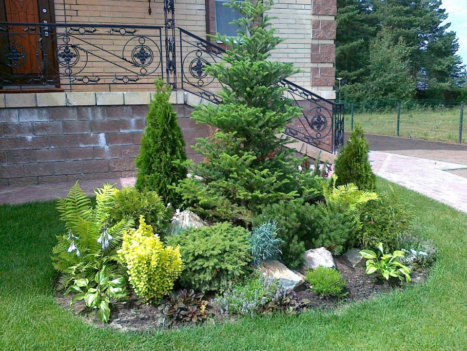 Миксбордер с горной сосной