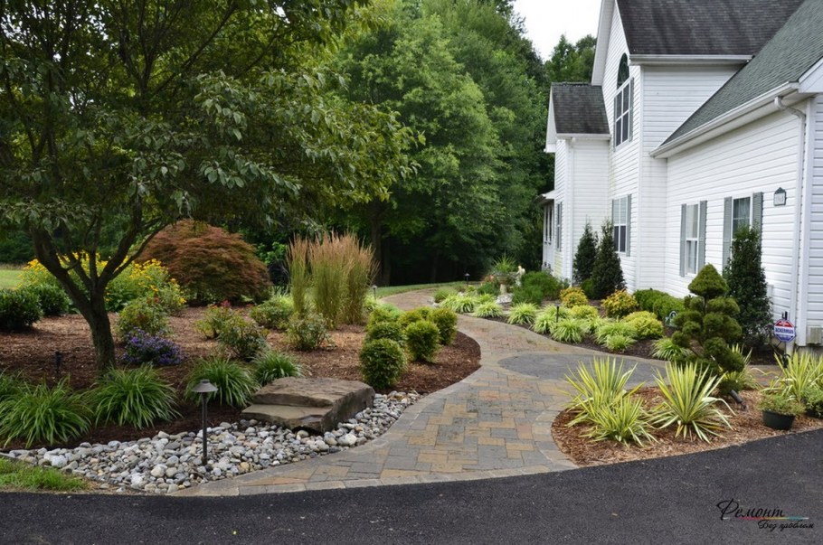 Хоста Моерхейм в ландшафтном дизайне