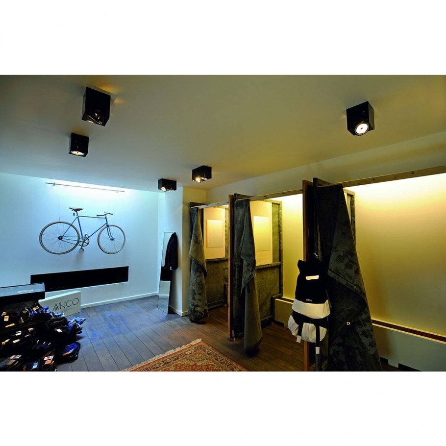 Потолочный светильник Paulmann Premium